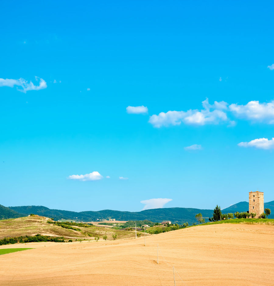 Volterra Blanca — Moodbild