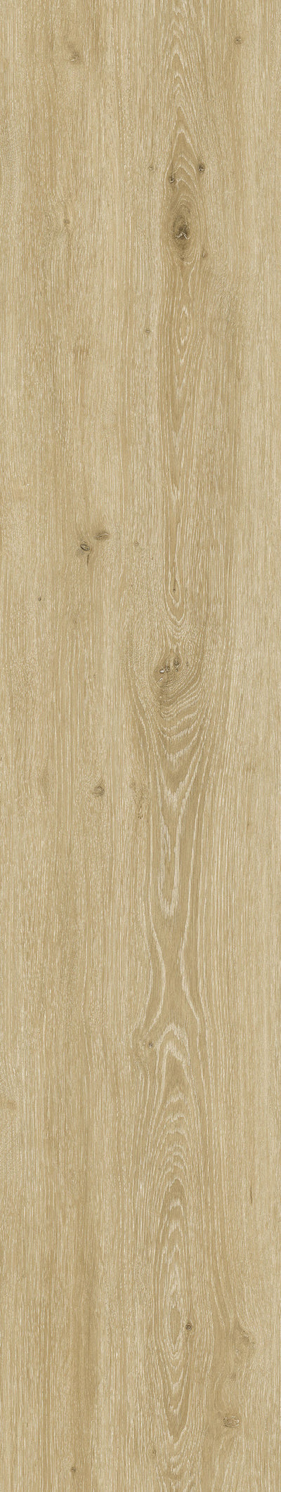 Savannah Sienna — Panel