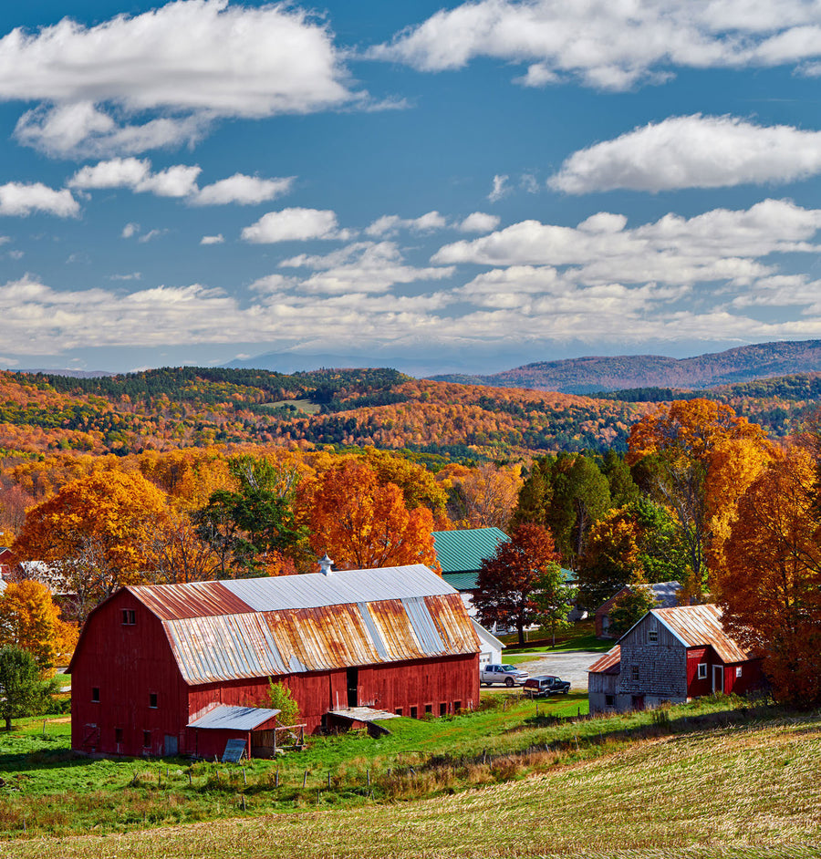 Vermont Maple — Moodbild
