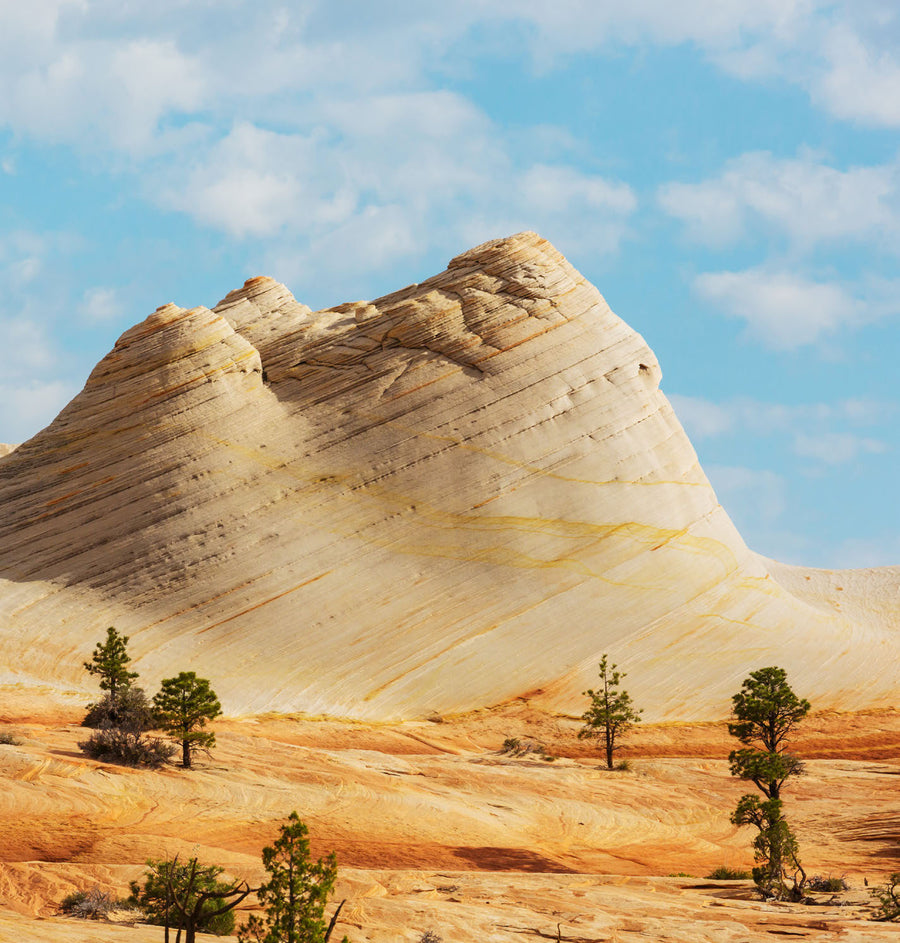 Montana Sand — Moodbild