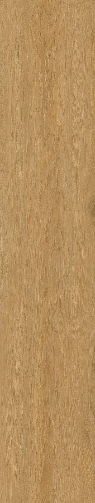 Vegas Brown — Panel