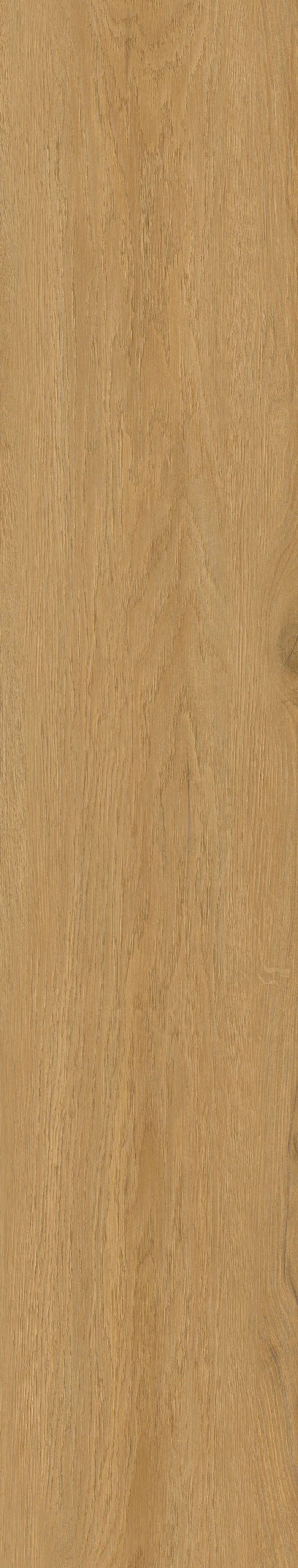 Vegas Brown — Panel