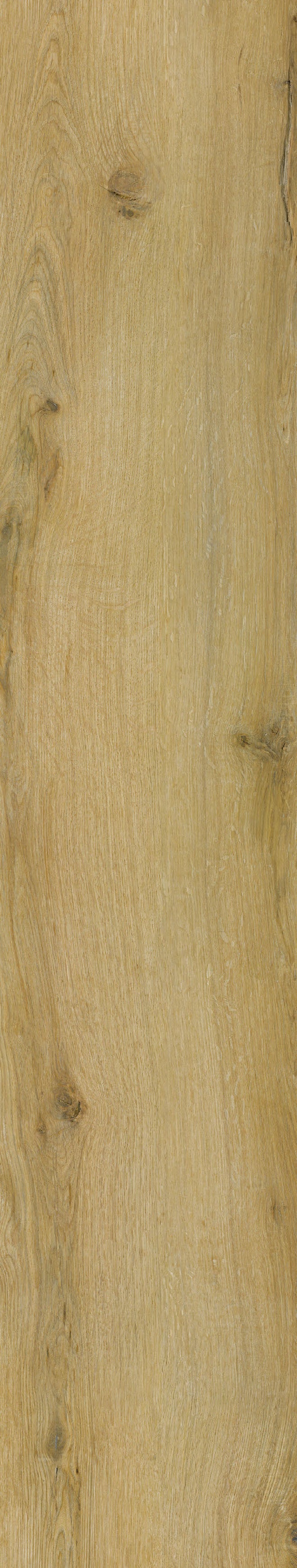 Pittsburgh Oak — Panel