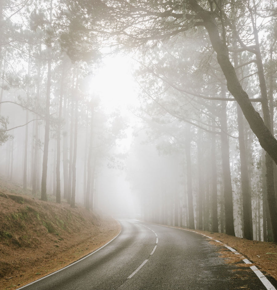 Oregan Grey — Moodbild