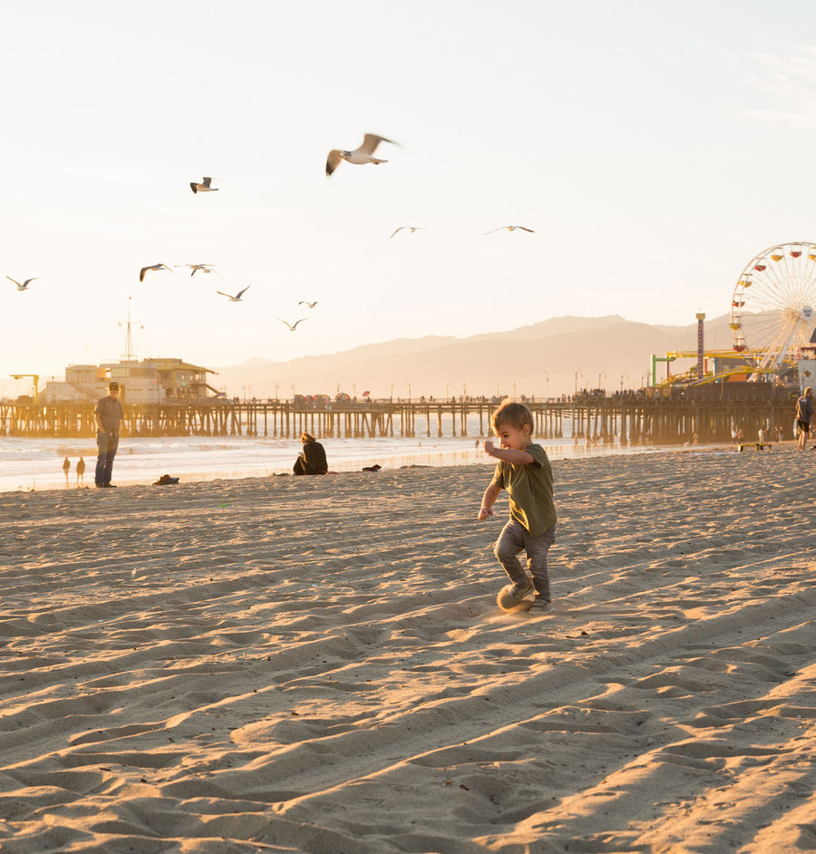 Santa Monica — Moodbild