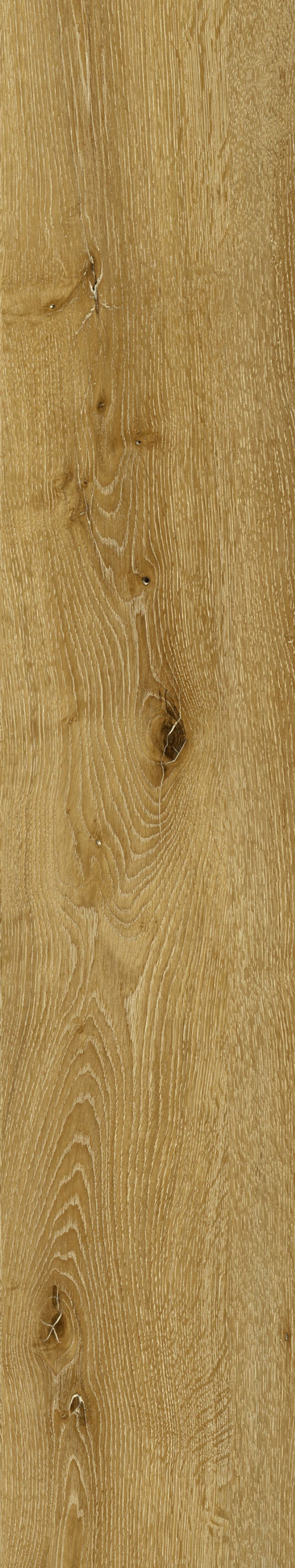 Denver Oak — Panel