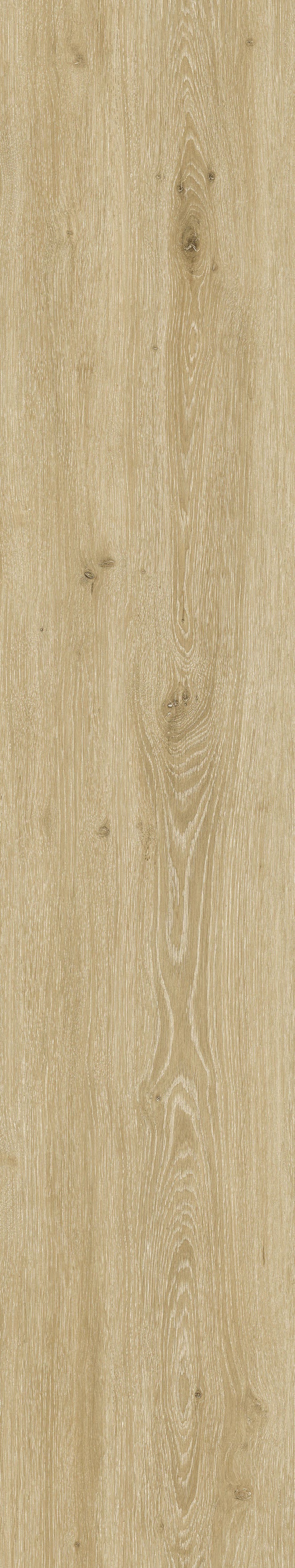 Savannah Sienna — Panel