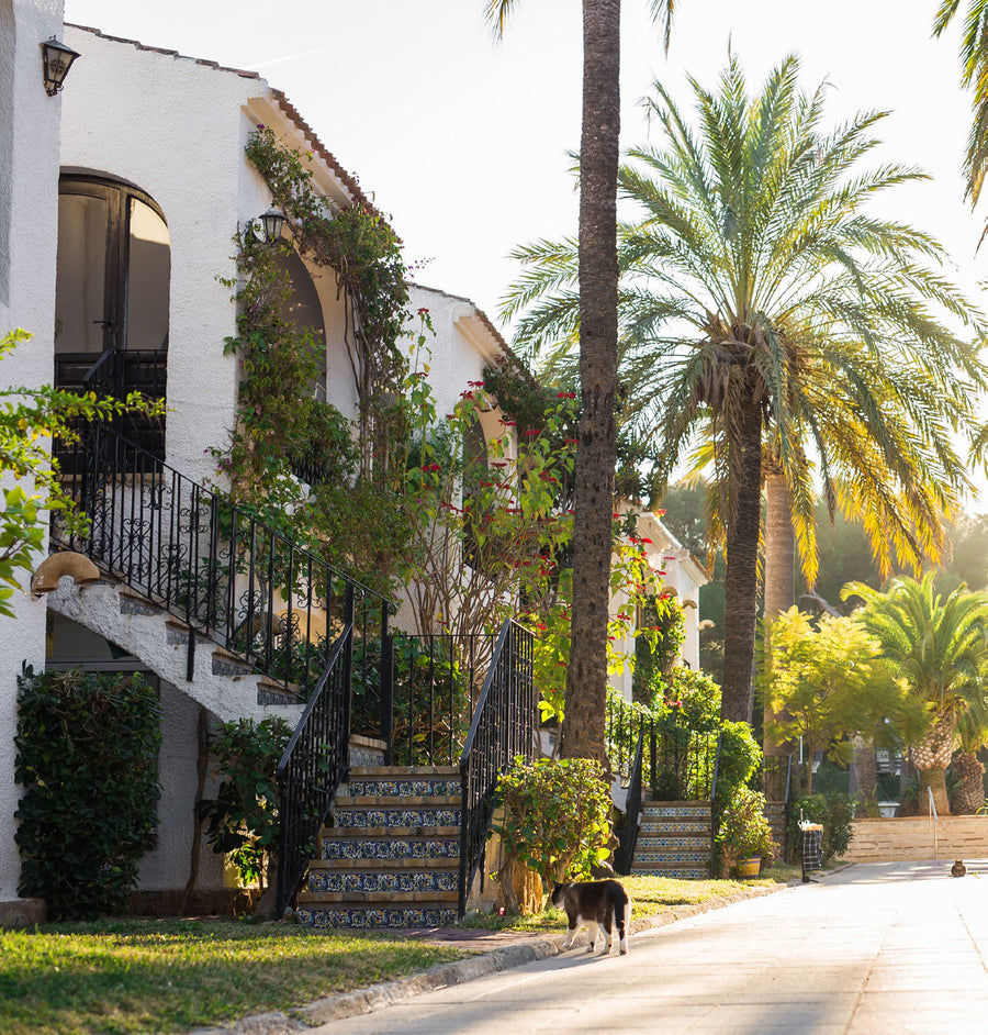Beverly Hills Brown — Moodbild