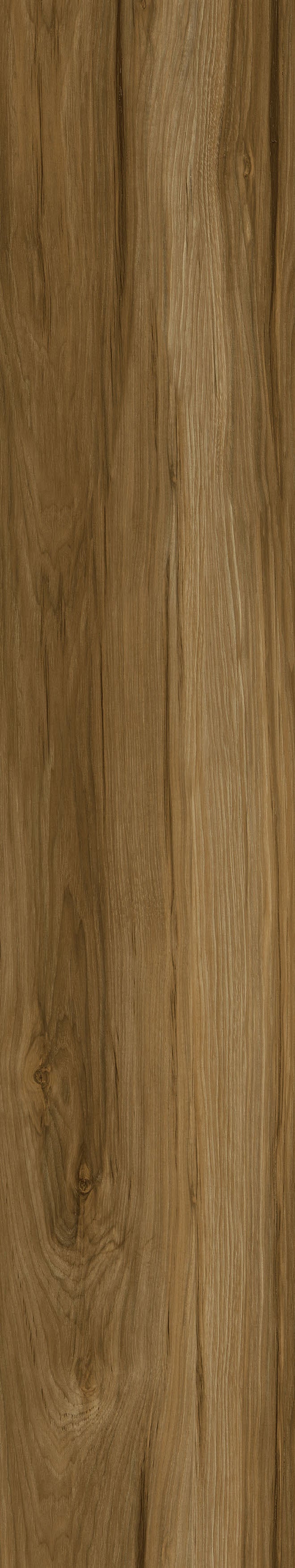 Beverly Hills Brown — Panel