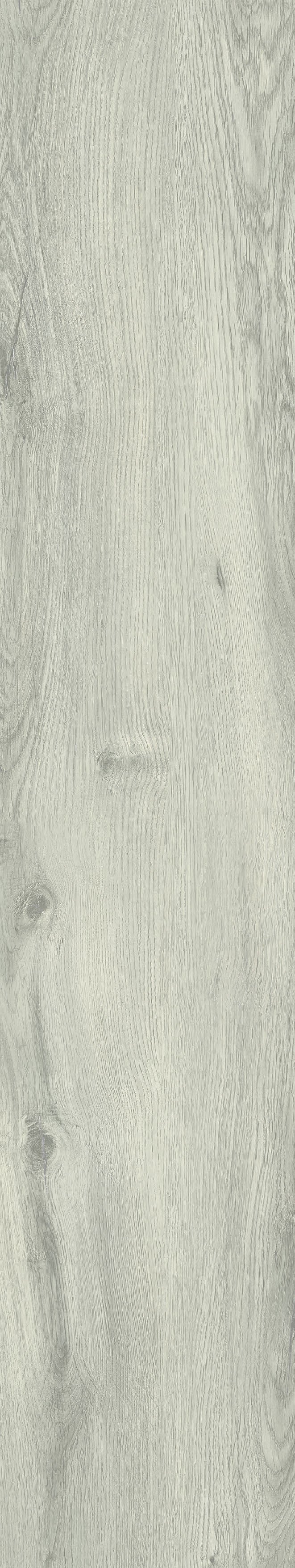 Boulder Ash — Panel