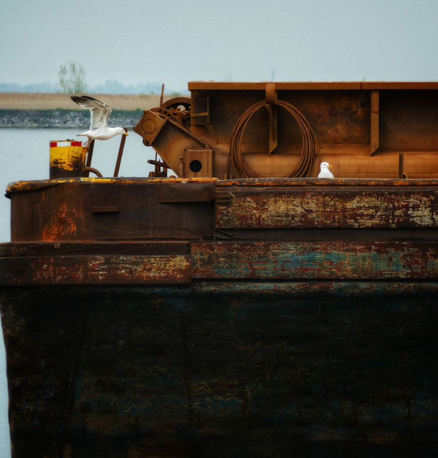 Rusty Natural — Moodbild