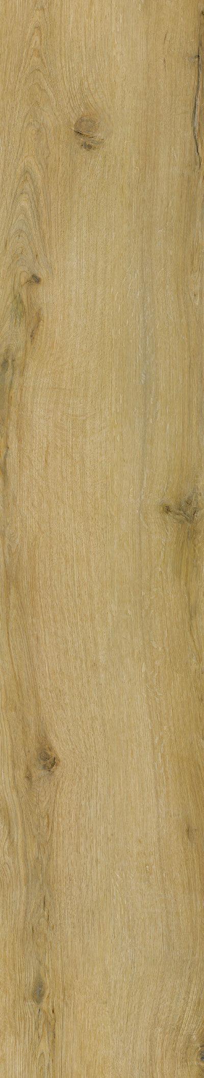 Pittsburgh Oak — Panel
